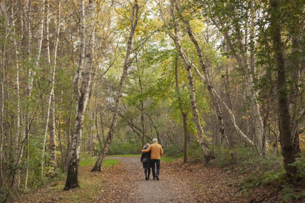 Hiking trail, elderly couple, walking away from dementia, Wiesmoor, East Frisia, Lower Saxony,