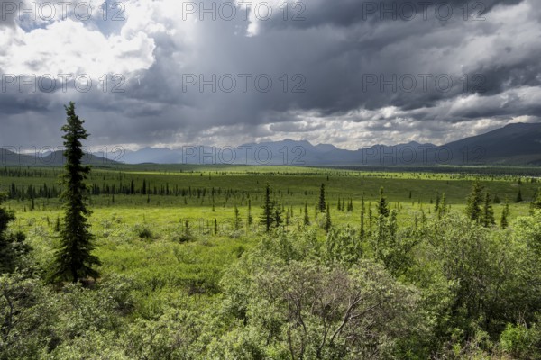 Taiga and tundra, mountain landscape of the Alaska Range with dramatic cloudy sky, Denali National