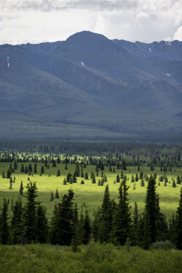 Taiga and tundra, mountain landscape of the Alaska Range with dramatic cloudy sky, Denali National