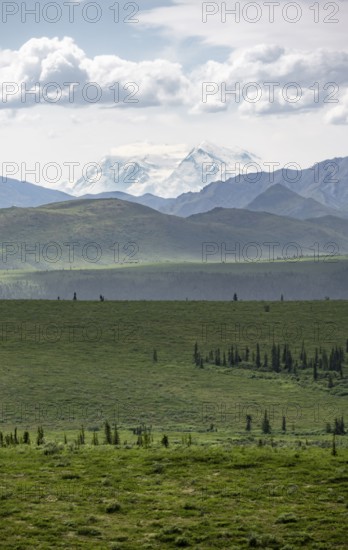Tundra and glaciated peak of Denali or Mount McKinley, Alaska Range mountainous landscape, Denali