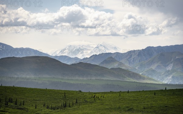 Tundra and glaciated peak of Denali or Mount McKinley, Alaska Range mountainous landscape, Denali
