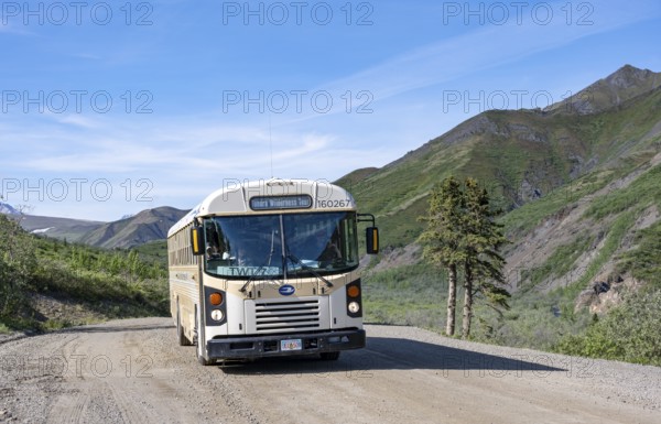 Tourist bus Tundra Wilderness tour, national park bus on a dirt road, mountain scenery, Denali Park