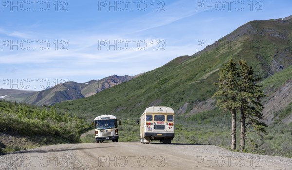 Tourist buses, national park bus on a dirt road, mountainous landscape, Denali Park Road, Denali