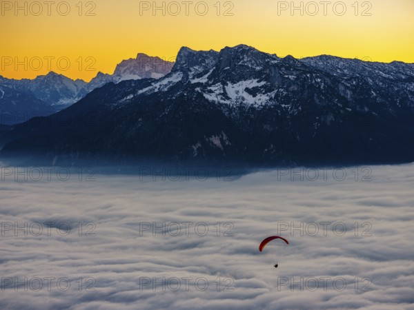 Paragliding flies over a sea of fog, behind Berchtesgaden Alps, Gaisberg, Salzburg, Salzburger