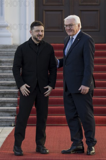 Volodymyr Selensky (President of Ukraine) and Frank-Walter Steinmeier (President of the Federal