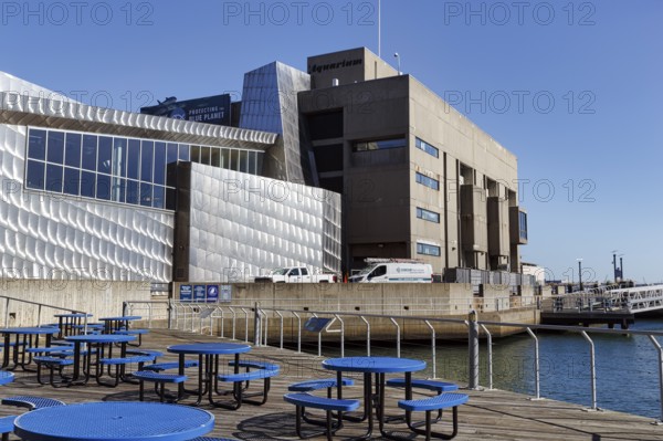 New England Aquarium, benches on patio, distinctive modern architecture, Central Wharf, waterfront,
