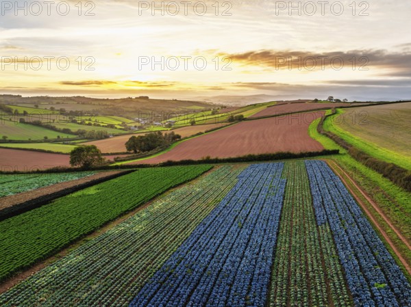 Colours of autumn Fields and Farms over Sheldon from a drone, Torbay, Devon, England, United