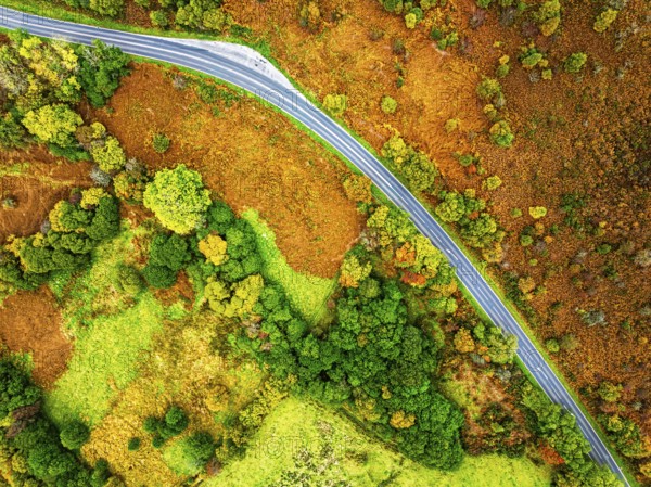 Top Down view of Autumn colours over River Wye and Road A470 from a drone, Llanidloes, Powys,