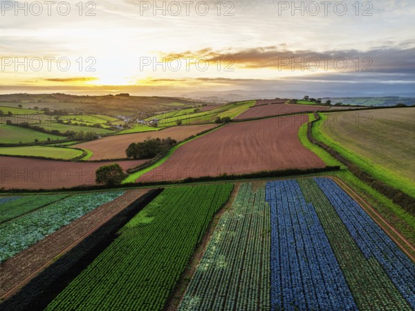 Colours of autumn Fields and Farms over Sheldon from a drone, Torbay, Devon, England, United