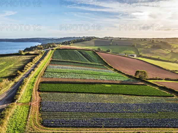 DefaultColours of autumn Fields and Farms over Sheldon from a drone, Torbay, Devon, England, United