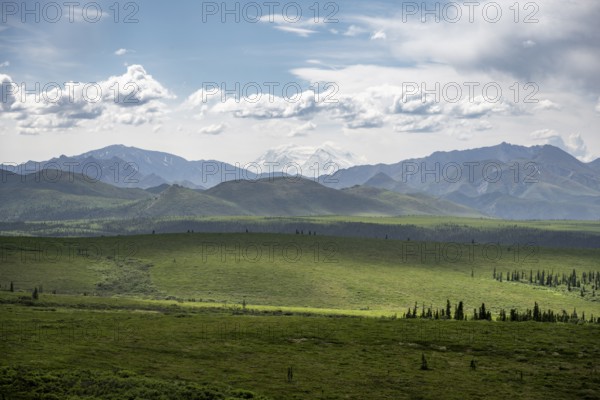 Tundra and glaciated peak of Denali or Mount McKinley, mountainous landscape, Denali National Park,