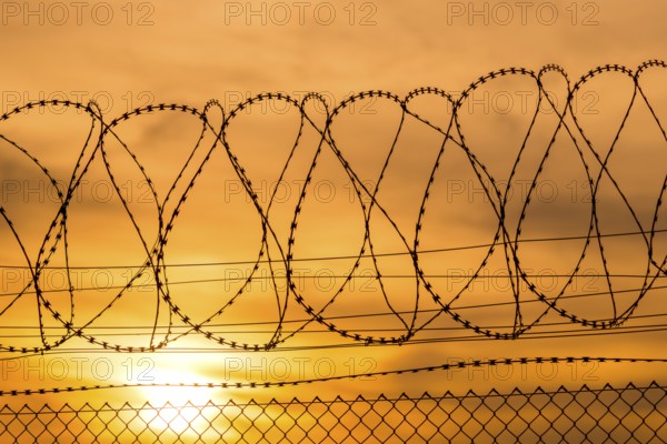 Barbed wire and sunset, warm colors fill the sky, Baden-Württemberg, Germany