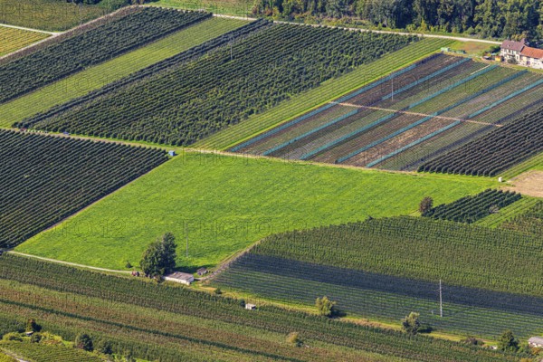 Rectangular fields, Calais, view from Vercorin, Val d'Anniviers, Valais Alps, Canton of Valais,