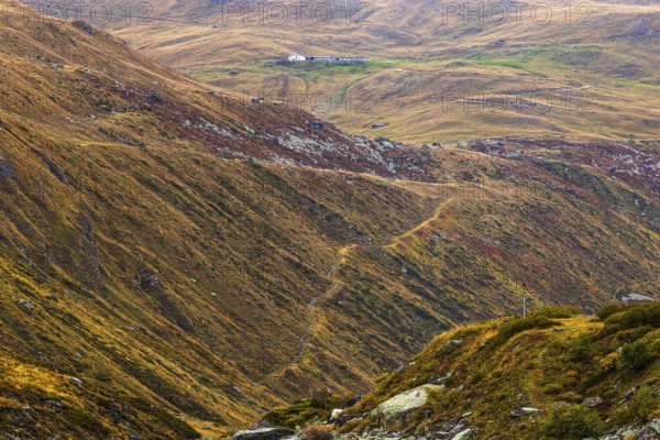 Alpine meadows in autumn colors above the Lac de Moiry reservoir, Val d'Anniviers, Valais Alps,
