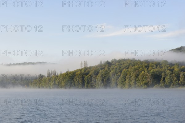 Hennesee, morning fog, blue sky, Hennetalsperre, Sauerland-Rothaargebirge nature park Park, North