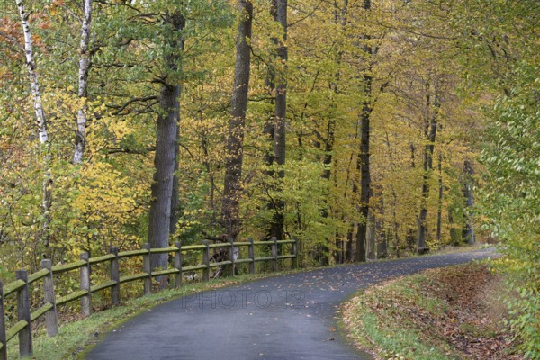 Riverside trail leads through the autumn forest at Möhnesee, Möhnetalsperre, North