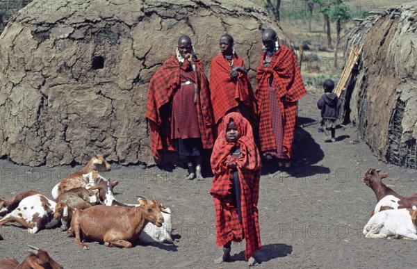 Maasai woman, children and goats in their village in the Ngorongoro Crater, Tanzania, June 2000,