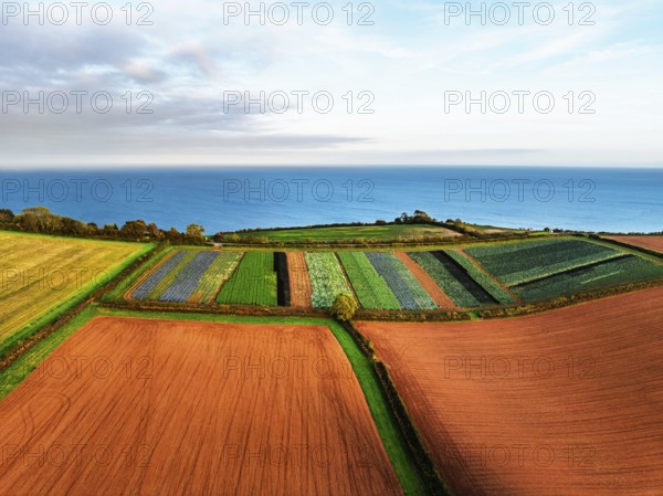 Colours of autumn Fields and Farms over Sheldon from a drone, Torbay, Devon, England, United