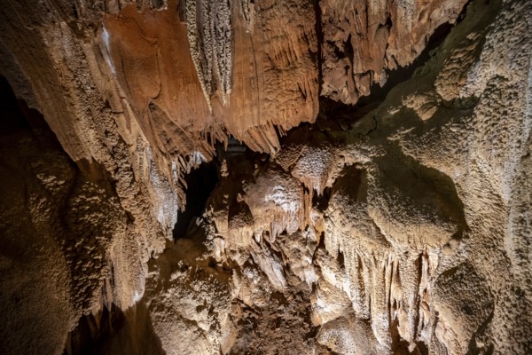 Stalactites and stalagmites, rock formations in a stalactite cave, Grotta del Fico, Gulf of Orosei,