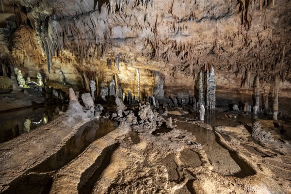 Stalactites and stalagmites, rock formations in a stalactite cave with water basin, Grotta del