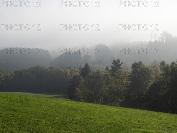 Landscape with meadows, forest and fog, Upper Lusatian mountain landscape, Zittau Mountains,
