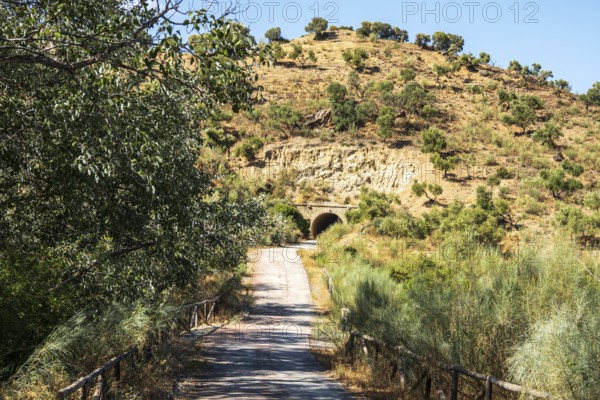 Cycle path Via Verde de la Sierra, path leads through a tunnel, Puerto Serrano to Olvera, near