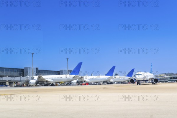 Several white and blue airplanes parked at airport gates on a clear, sunny day, waiting for their