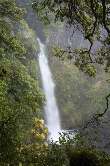 Dawson Falls Waterfall. Egmont National Park, Taranaki Region, North Island, New Zealand