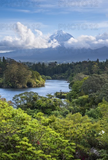 Lake Mangamahoe with views of Mount Taranaki. Egmont National Park, Taranaki Region, North Island,