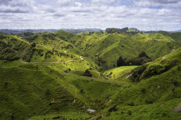 Hilly landscape with meadows along State Highway 43 (SH 43), also known as the Forgotten World