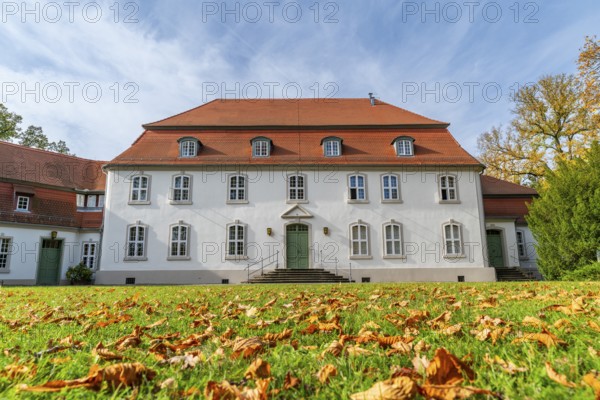 Leaves in a meadow in front of Wiepersdorf Castle of the von Arnim family in autumn, Wieperdorf,