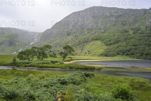 Group of trees and beach at the mouth of the Owenacoo River and Lough Beagh in the background