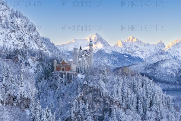 Neuschwanstein Castle in the snowy Alps under a clear blue sky, Schwangau near Füssen, Ostallgäu,