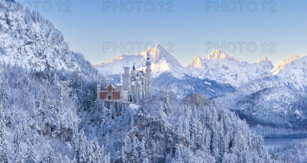 The picturesque Neuschwanstein Castle in an atmospheric, snowy mountain landscape in the morning,