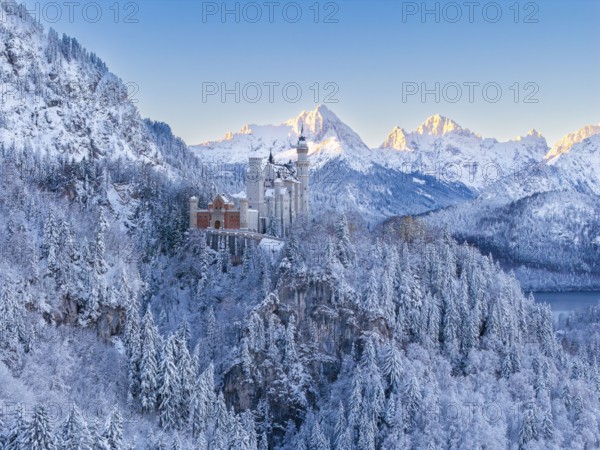 Majestic Neuschwanstein Castle surrounded by snow-covered Alps and thick forests, a winter dream,