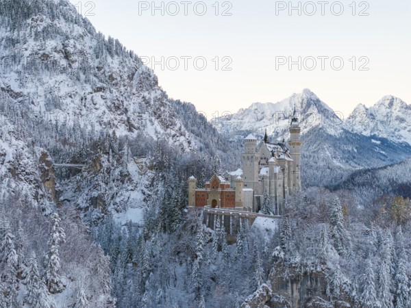 Neuschwanstein Castle in a frosty winter landscape surrounded by snow-covered trees, Schwangau near