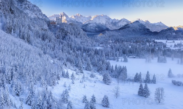 Winter mountain landscape with snow-covered trees and light fog in the valley, Neuschwanstein
