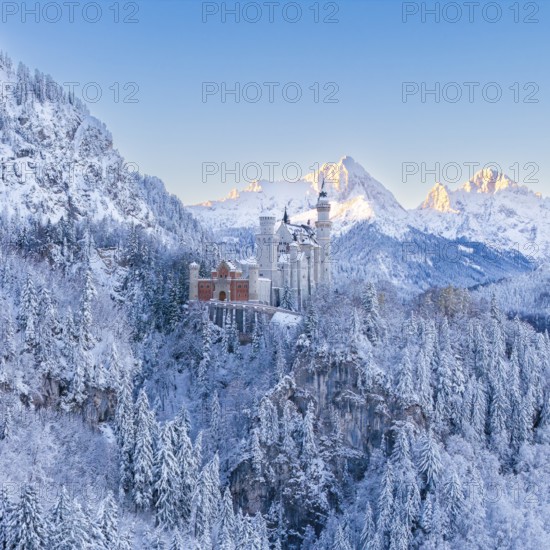 The enchanting Neuschwanstein Castle in a symmetrical, snowy mountain landscape, Schwangau near
