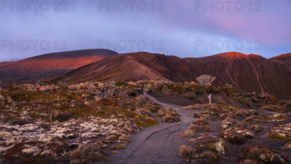 Volcanic landscape, Tama Lake Walk (Tama Lakes Track), evening light, sunset. Tongariro National