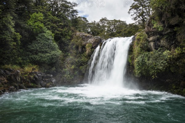 Waterfall Tawhai Falls (Gollum's Pool), location of the film trilogies The Lord of the Rings.
