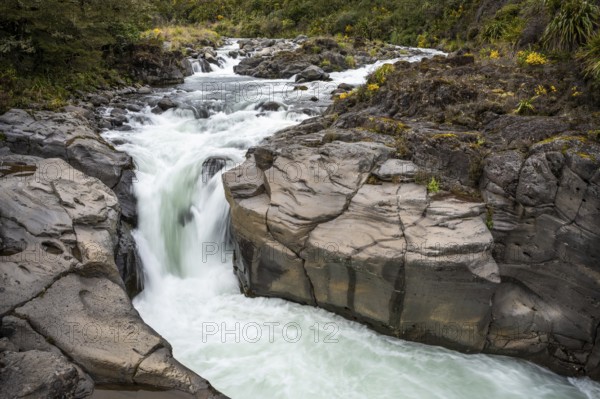 Whakapananui Stream and Mahuia Rapids, river and waterfall. Tongariro National Park, North Island,