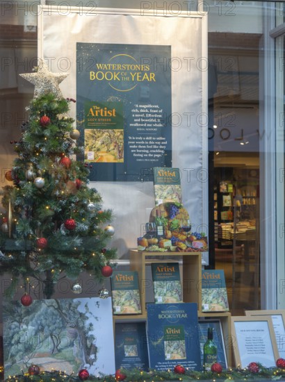 Waterstones Book of the Year, The Artist by Lucy Steed, books in window display of Waterstones