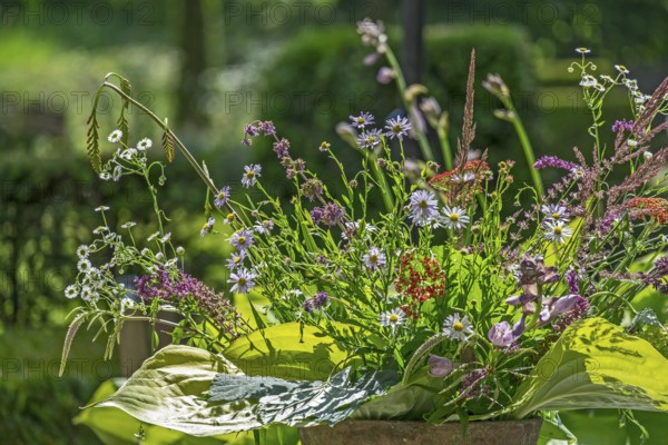 Field flower bouquet, the Netherlands
