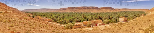 A wide panorama with an oasis, many palm trees and buildings against a mountain backdrop, Ziz