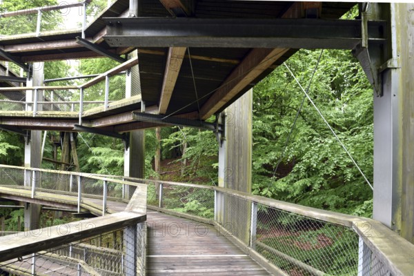 Treetop Trail on Rügen, Natural Heritage Center, Mechlenburg-Vorpommern, Germany
