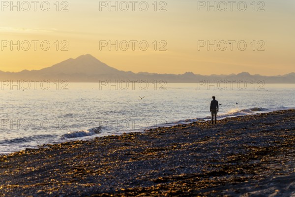 Young man walking along the beach at sunset, view across Cook Inlet to white mountain peaks of