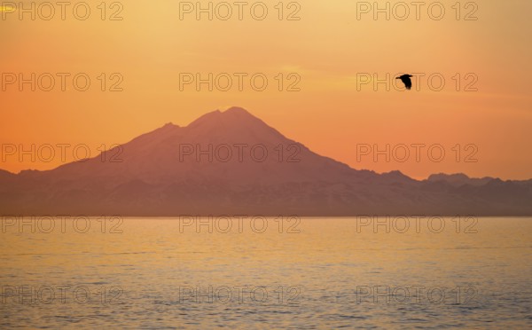 View over Cook Inlet to white mountain peaks of Mount Redoubt, at sunset, picturesque golden light