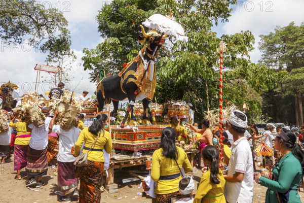 The mortal remains of a deceased person are placed in an animal sarcophagus (wadha) during the