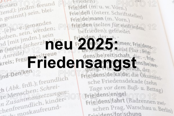 Lettering NEW 2025: FEAR OF PEACE against the background of a duden***The term has recently been