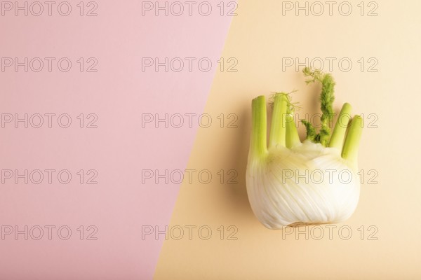 Fresh Fennel bulb on pink and orange pastel paper background, top view, flat lay, copy space,